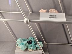 -上海科技馆(地铁站)