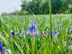 -北京西山国家森林公园