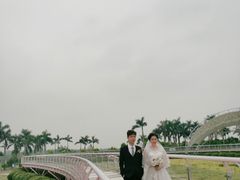 -百万葵园