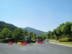 -天目山大树王景区