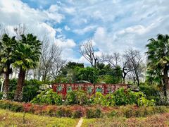 -洱海月湿地公园