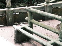 -碧峰峡风景区
