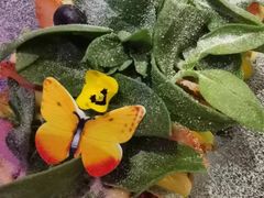-十二月·宁夏盐池滩羊肉火锅