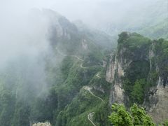 -王莽岭风景区