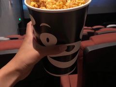 -星河寰宇IMAX影城(星河WORLD·COCO Park店)