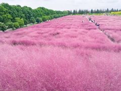 -嘉北郊野公园