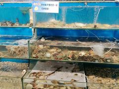 -仙螺岛海鲜自助餐厅(总店)