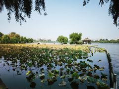 -济南大明湖景区