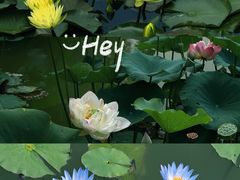 -国家植物园