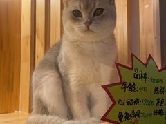 -转角宠物(转塘方家苑店)