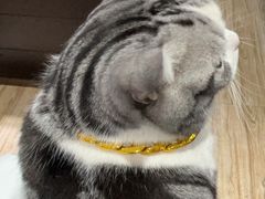 -百金通黄金回收首饰定制维修(珠江路总部)