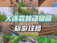 -大连森林动物园