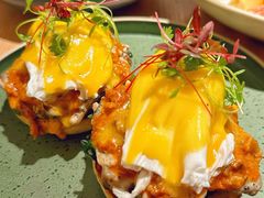 -O'eat Blossom&Pelican(深圳首店)