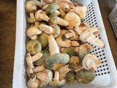 -云南木水花野生菌交易中心