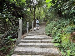 -水濂山森林公园