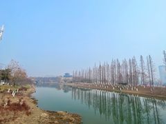 -桃花岛公园