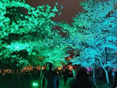 -东湖磨山景区樱花园-停车场