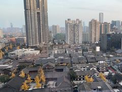 -成都尼依格罗酒店