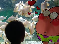 -常州海昌海洋探索馆