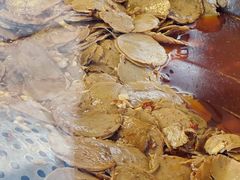 -张记捆鸡(总店)