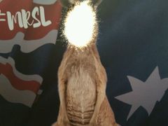 -TAB Merrylands Rsl Club