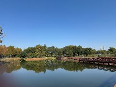 -金银湖国家城市湿地公园