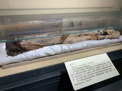 -巴音郭楞蒙古自治州博物馆