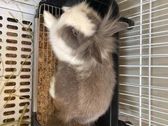 -小意思咖啡店(草桥店)