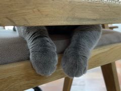 -Me Coffee下午茶艺术空间