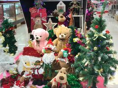 -AEON永旺(东方宝泰店)