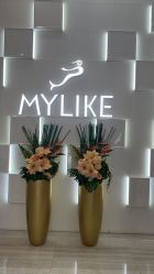 -深圳美莱医疗美容医院