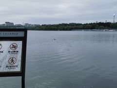 -长春市南湖公园