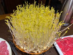 -巴倒烫陆派火锅山庄(南山总店)