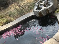 -徂徕山森林康养度假谷温泉