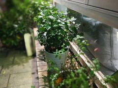 -茶庐(百花洲路店)