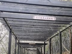 -九龙潭景区