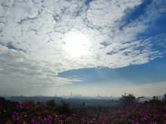 -火炉山森林公园