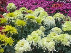 -杭州植物园