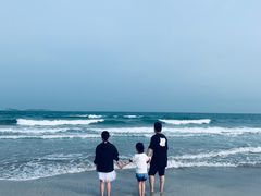 -汕尾风车岛