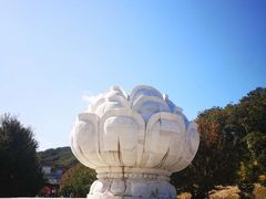 -金龙寺国家森林公园