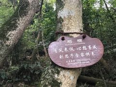 -普陀山风景名胜区-法雨禅寺
