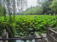 -包公祠
