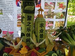 -南宁良凤江国家森林公园