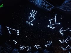 -乐山乌木文化博览苑