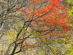 -叠溪松坪沟景区