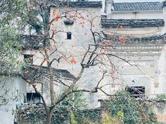 -塔川景区