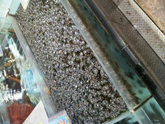 android_upload_pic-渔民新村(番禺总店)