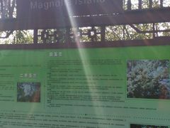 -艾溪湖湿地公园