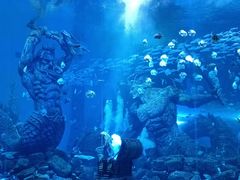 -波塞冬海底世界