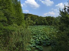 -昆山城市生态森林公园